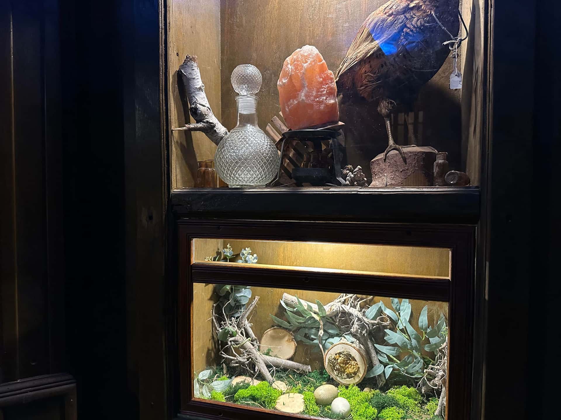 Vitrine mit Salzkristall-Lampe, Karaffe und Moos-Terrarium im Escape Room Die Zauberschule in Rosenheim